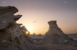 The Fossil Dunes