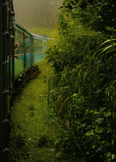 Sri Lanka | Train Ride_1