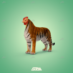 Chicken Tiger