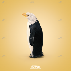 Penguin Eagle