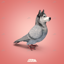 Pigeon Dog