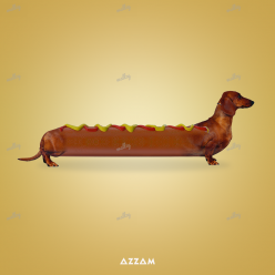 Hot Dog