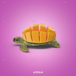 Mango Turtle