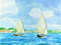 Racing Dhows