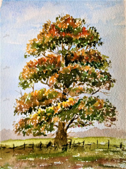 Autumn Tree