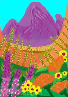 Mountain flowers