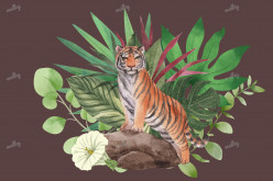 Botanical Tiger