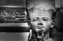 King Tut Ankh Amun