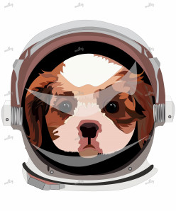 Astronaut dog