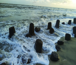 beach wave