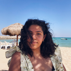 Heba Tarek