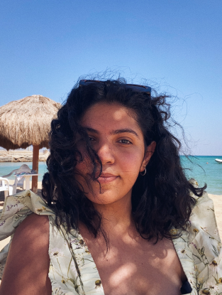 Heba Tarek