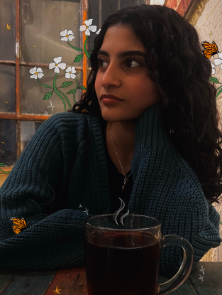 Taline Nesheiwat